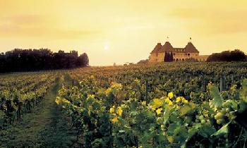 Chateau Elan