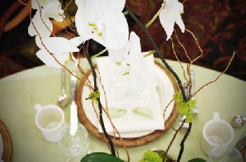 Hilton Garden Inn Jacksonville/Ponte Vedra