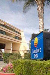 Comfort Inn West