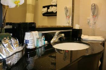 Hampton Inn  Suites Chicago SouthlandMatteson