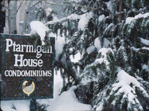 Ptarmigan House
