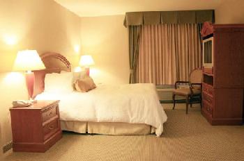 Hilton Garden Inn St. George
