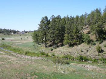 Hampton Inn  Suites Show LowPinetop