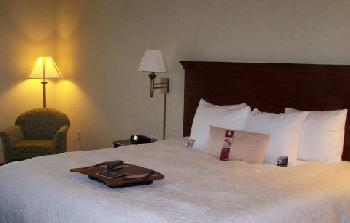 Hampton Inn  Suites Hobbs