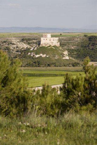 Domus Selecta Resid. Real Castillo De Curiel