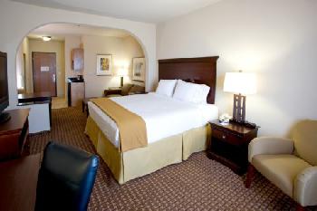 Holiday Inn Express Hotel & Suites KINGSVILLE