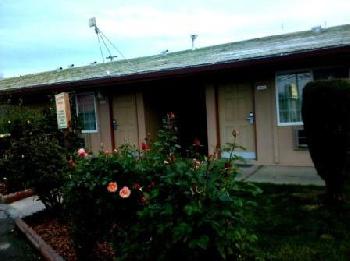 Maple Inn and Suites